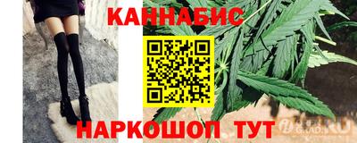 индика Кулебаки