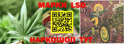 индика Кулебаки