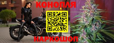 ALPHA PVP Кунгур