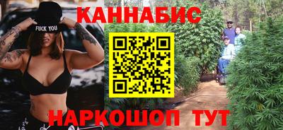 индика Кулебаки