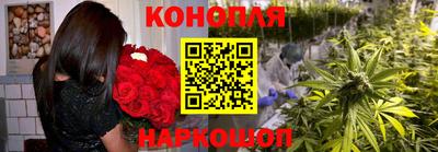 ALPHA PVP Кунгур