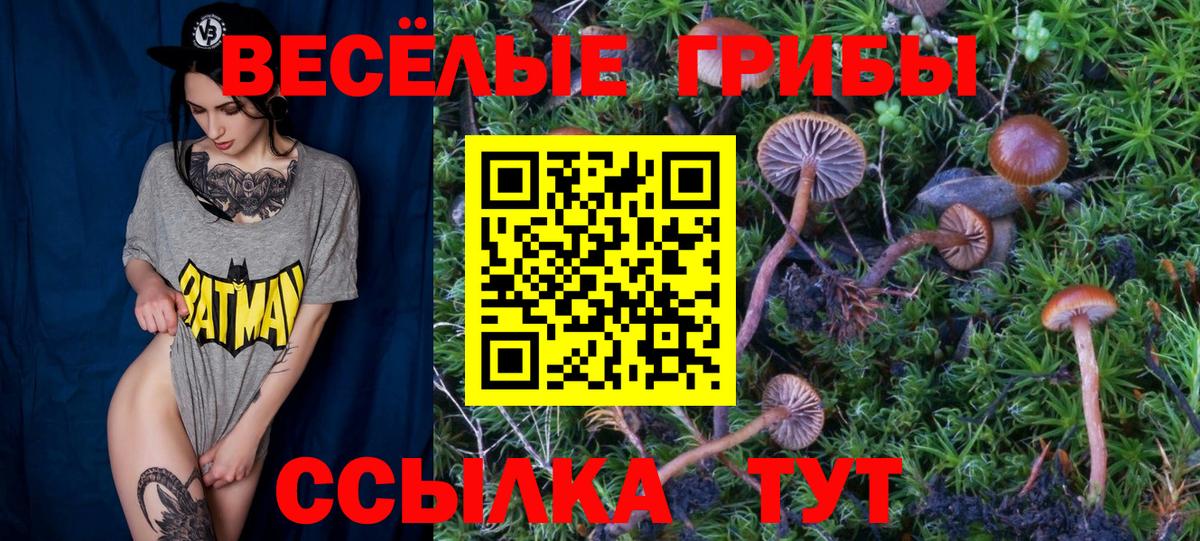 наркотики  Галлюциногенные грибы Psilocybe  Вход с VPN  Донской 